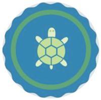 Playlist Turtle Codehs - Classic 8K Ocean Illustrations | Free Download