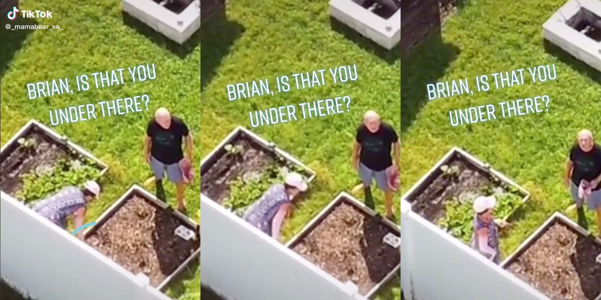 Drone Fotage Of Brian Laundrie S Parents Fuels Conspiracy Theories