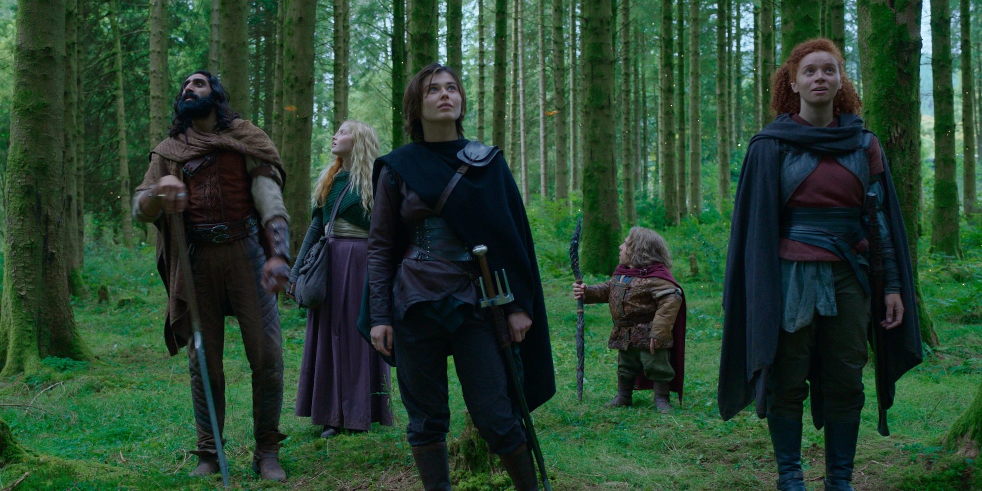 The Willow Review - Gradient Image Collection - Full HD Quality