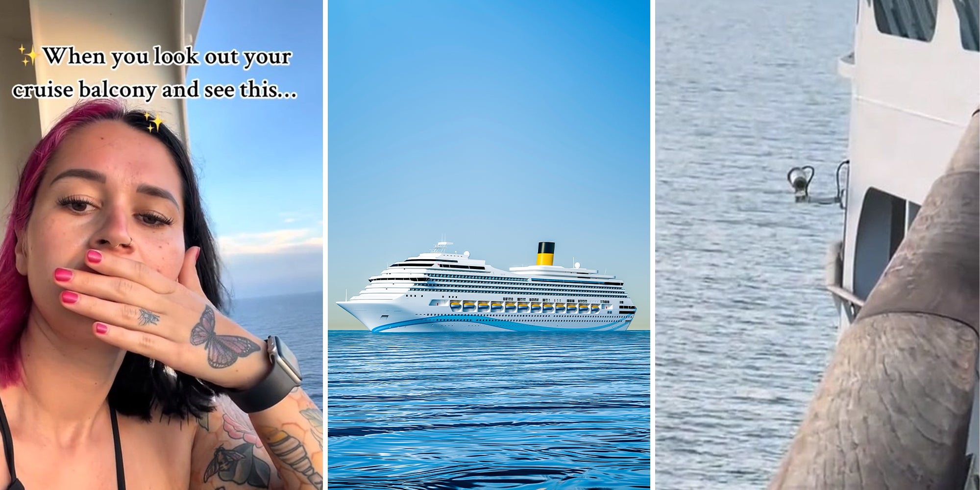 Passenger Finds Unexpected Security Cameras On Cruise Ship