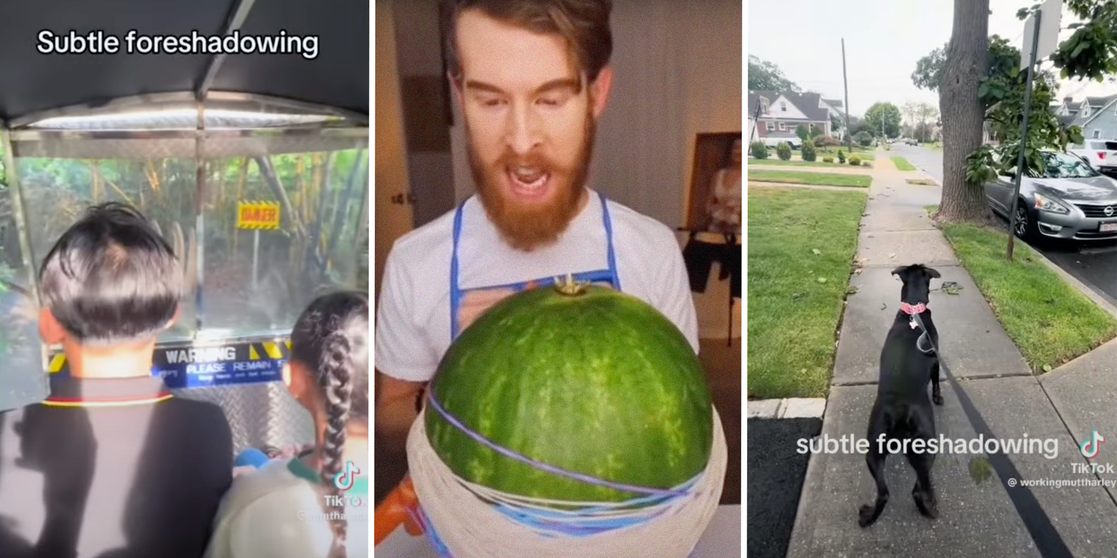 Subtle Foreshadowing Know Your Meme - Best Nature Backgrounds in 8K