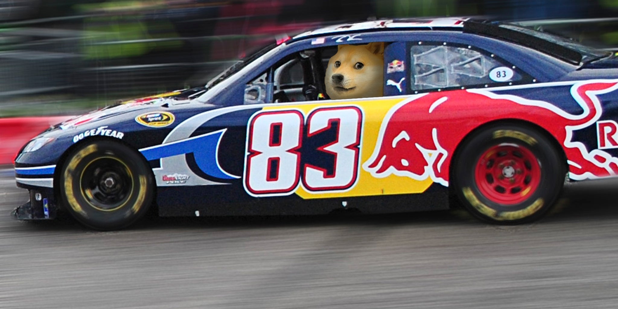 pix Dogecoin Stock Car could nascar drive dogecoin to the moon