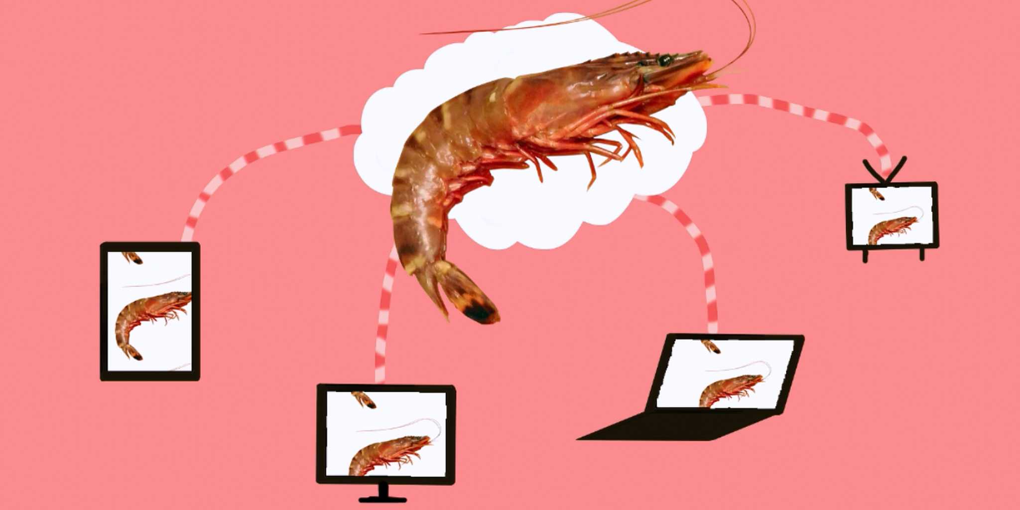 Shrimp Cloud - Landscape Art Collection - HD Quality