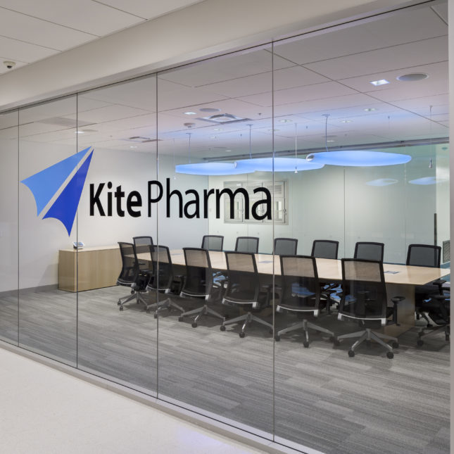 Kite Pharma The Dumbell Man - HD Minimal Pictures for Desktop