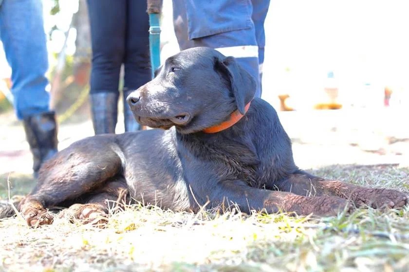 WhatsApp Image 2019-02-02 at 16.06.49 (1)