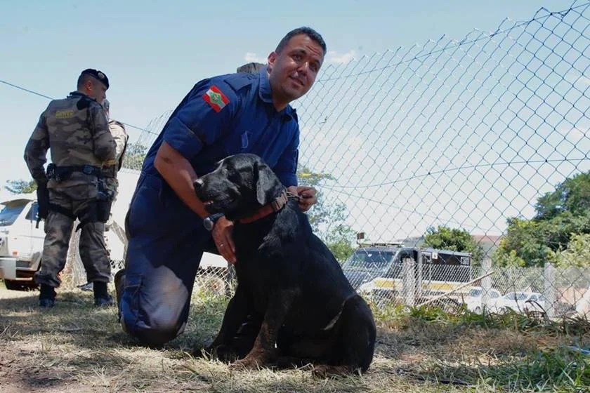 WhatsApp Image 2019-02-02 at 16.06.49 (2)