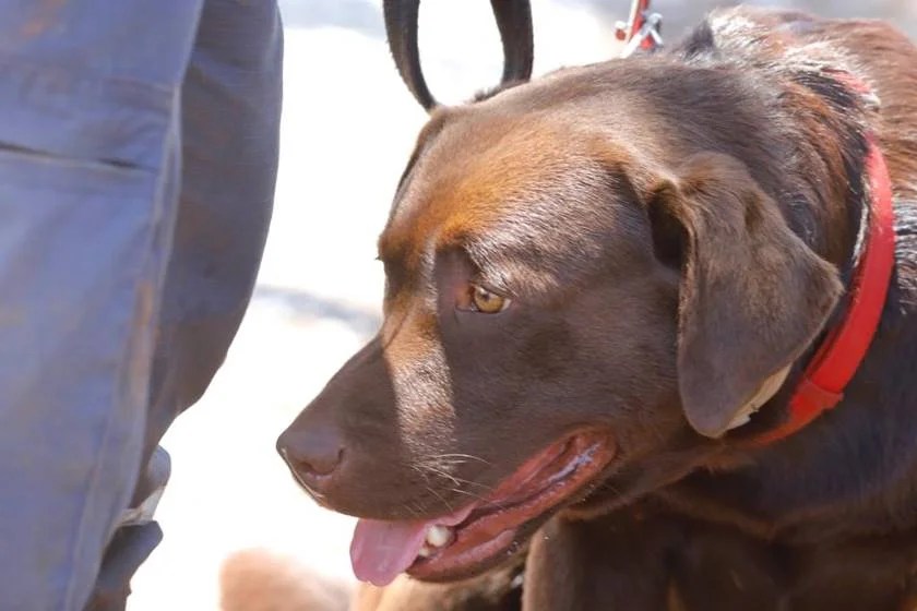 WhatsApp Image 2019-02-02 at 16.06.49