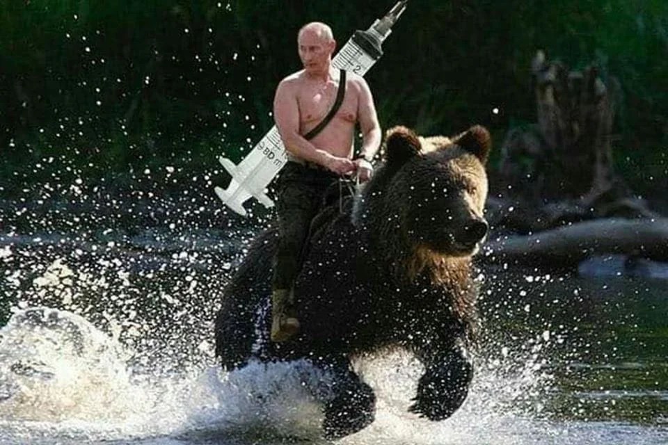 Below is the source picture of putin. Pra quem come a vida dura, vacina russa Ã© maria mole