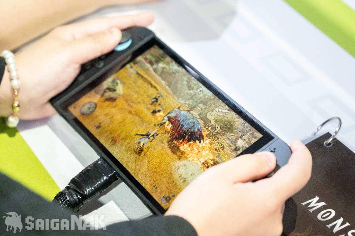Switch 2でもワイルズができる!
