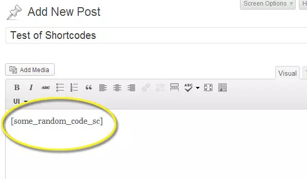 Since a user can not write programming code in . Create Custom Shortcodes For Wordpress In Two Minutes Sitepoint