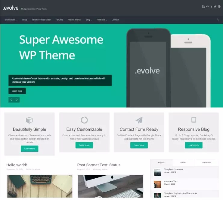Share your healthy cooking tips, travel adventures, lifestyle and fashion ideas, grow your personal brand, etc. 10 Of The Most Popular Free Wordpress Themes
