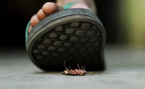 Javascript Debugging With Vs Code And Chrome - Premium Abstract Wallpaper Gallery - High Resolution