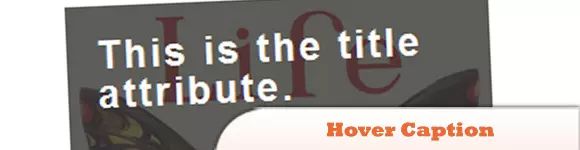 Captionerjs Jquery Plugin For Captions Jquery Plugins - Best Vintage Wallpapers in HD