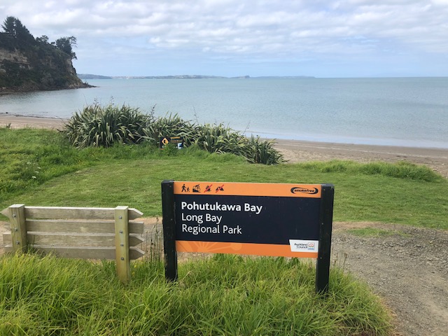 Long Bay Regional Park Auckland Trails Photo Gallery Wild Things Img 2231 
