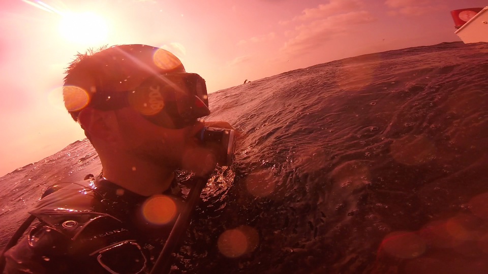 Belize Pro Dive Center: Amazing Intro Scuba Diving at Ambergris Caye ...