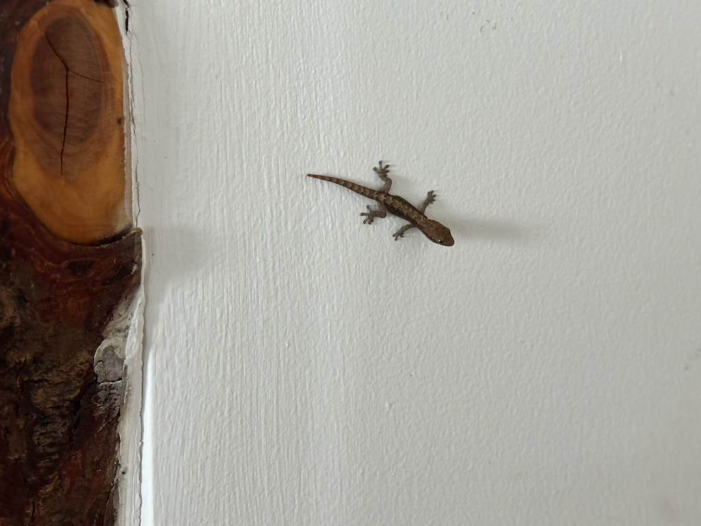 21 Things You Need to Know About Easter Island Before Visiting ...