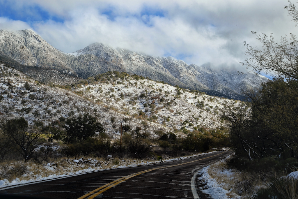 Does It Snow in Tucson Arizona? Your Guide to a White Tucson UponArriving