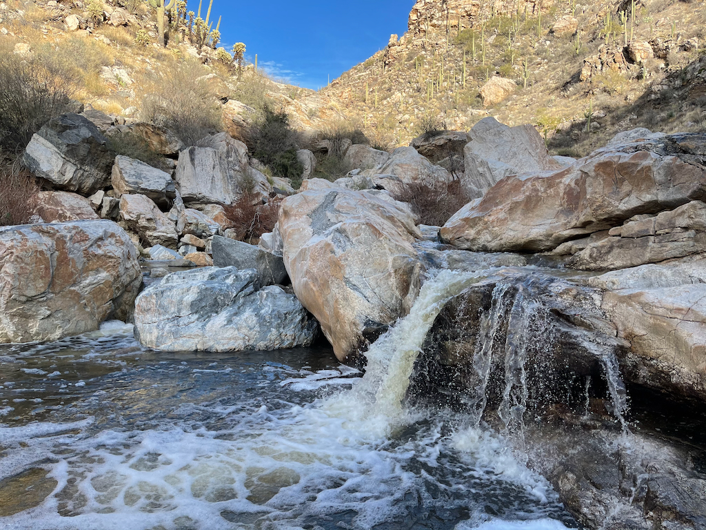 Does It Snow in Tucson Arizona? Your Guide to a White Tucson UponArriving