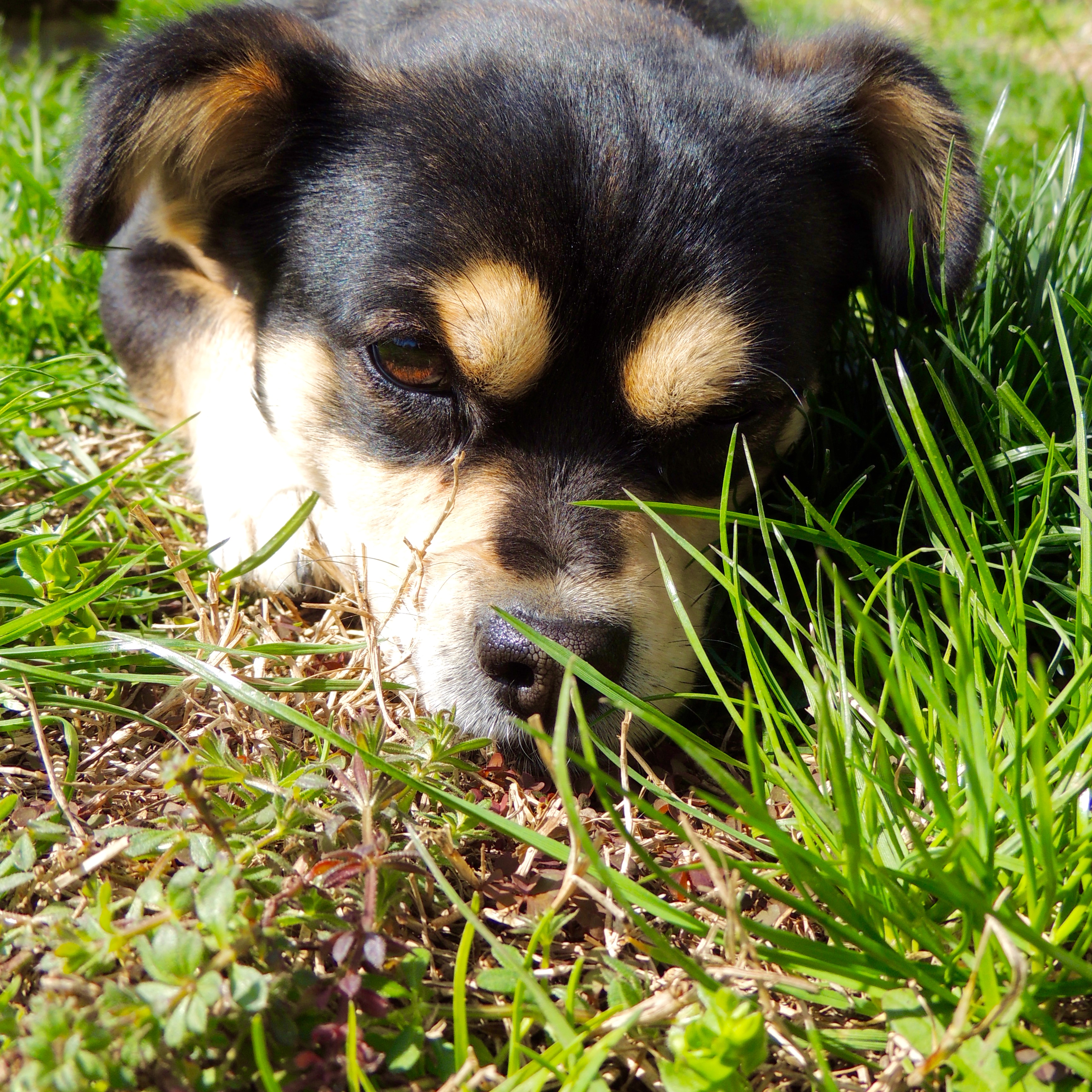 Gina spends a lot of time lounging in the sun these days