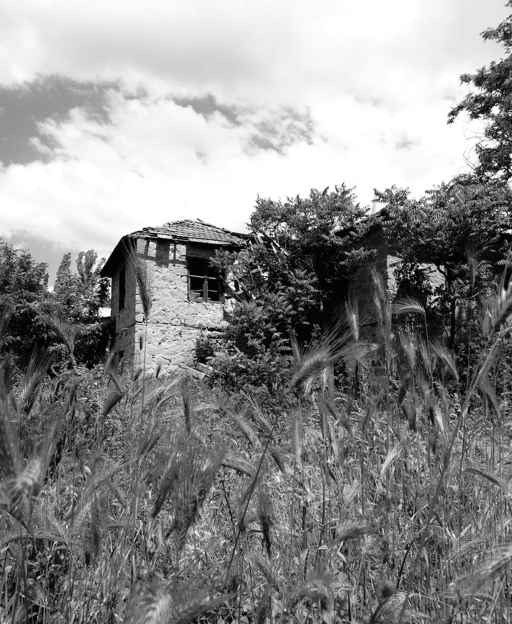 Orel is mostly abandoned, and only has a handful of residents left