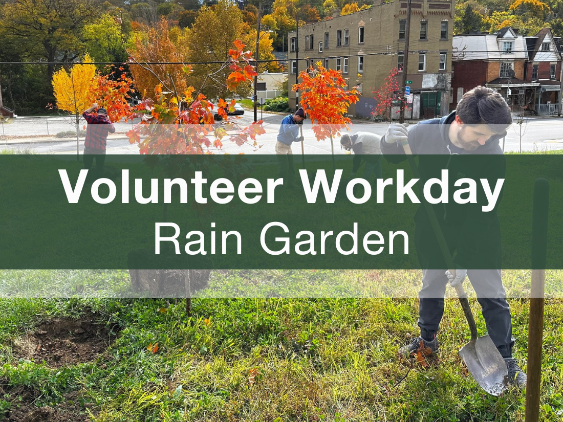 Volunteer Workday - Rain Garden