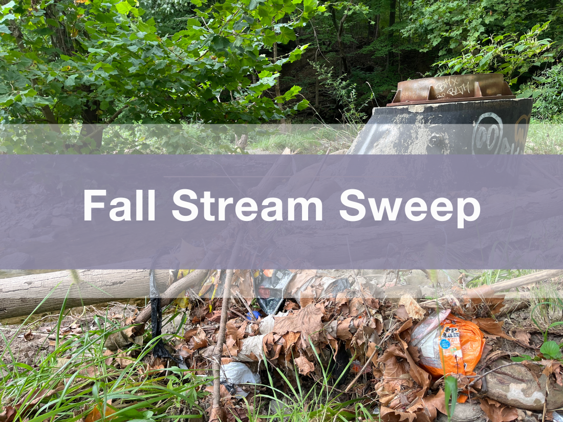 Fall stream Sweep with UpstreamPgh