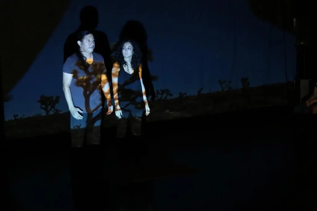 Return Home (2015)