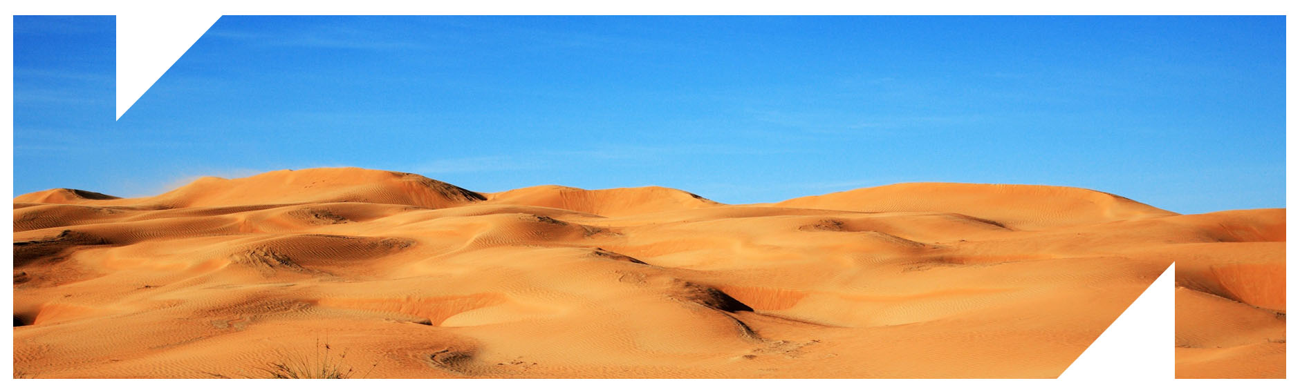 المدن الجديدة وطرح الأسئلة الصحيحة