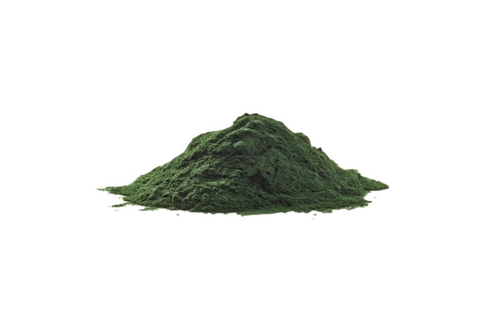 ہربل پروٹین پاؤڈر Herbal Protein Powder کو بنانا سیکھیں