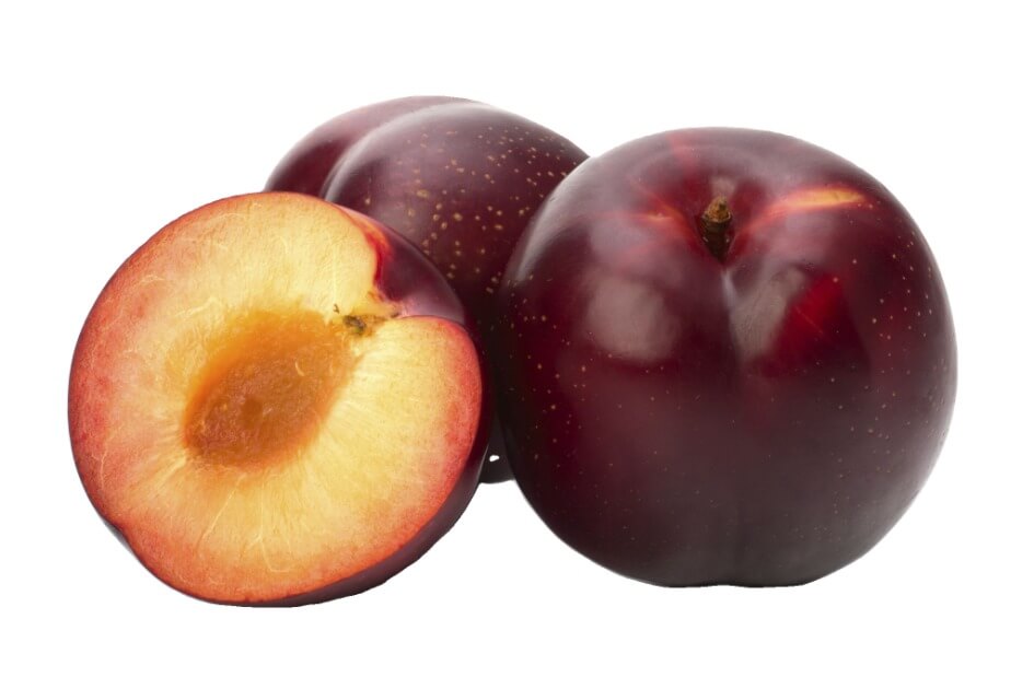 آلو بخارا/ Plum/ Prunus domestica