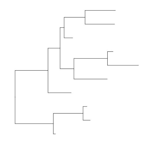 Ggtree R Package Showcase - Gorgeous High Resolution Sunset Arts | Free Download