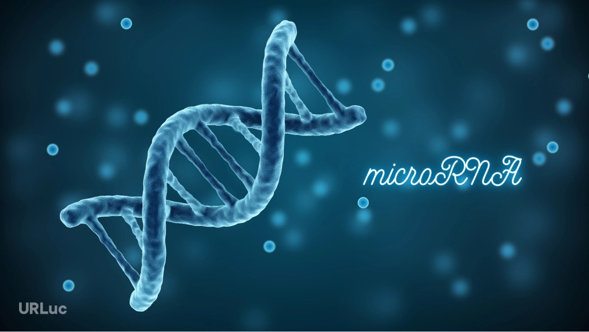 microRNA