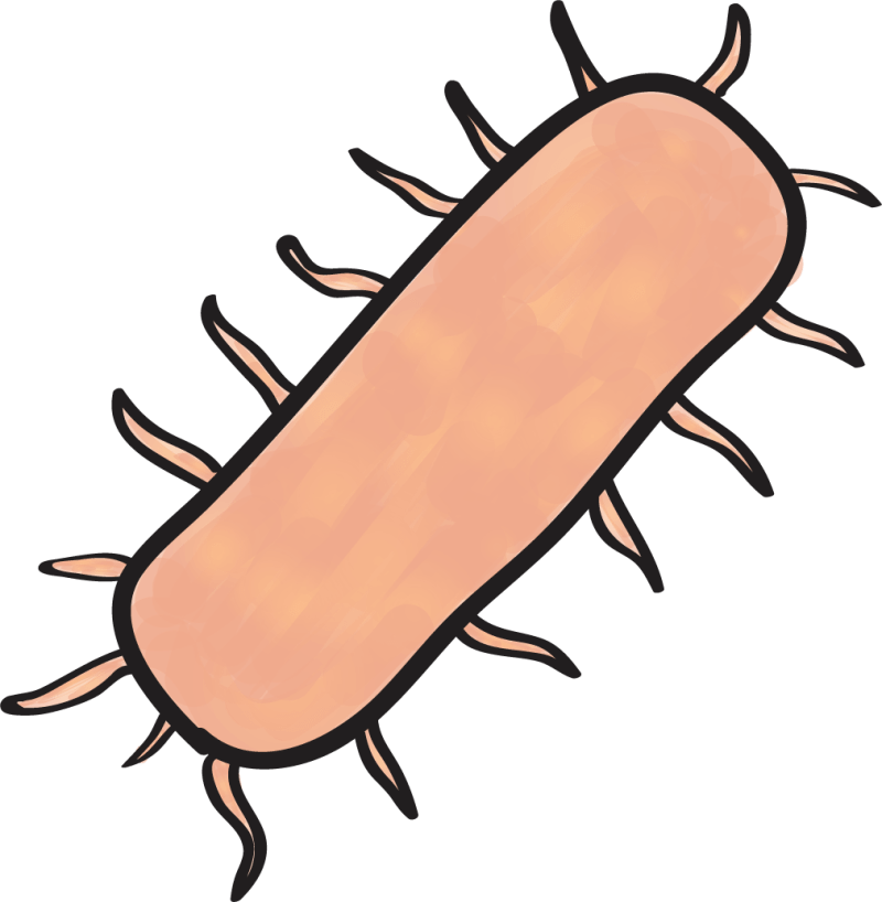 Archaea Clothing Github - Premium Nature Photo - 8K