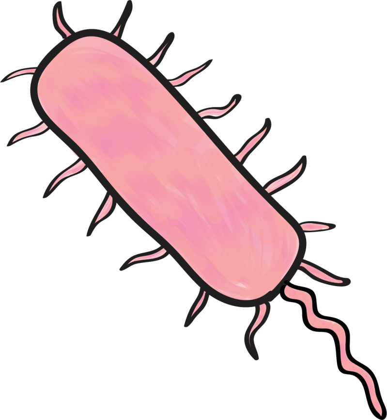 Github Gabechoi Aars 1440 Projects All Projects Completed In Aars - Premium Colorful Picture Gallery - 8K