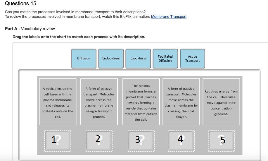 Hw X Activity Membrane Transport Voary Review Chegg To review the process of diffusion watch this BioFlix animation.