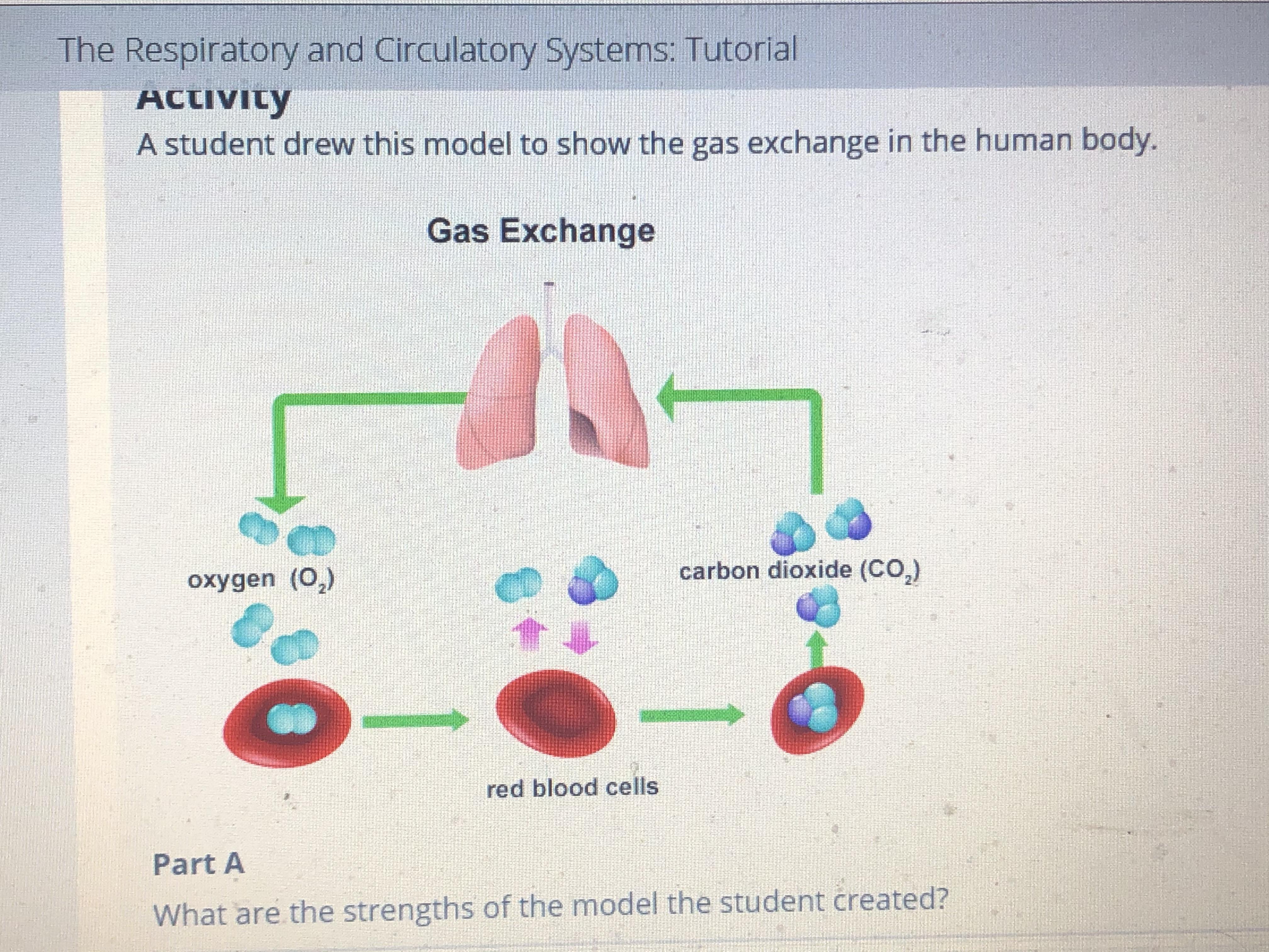Which layers make up the lithosphere of earth brainly
