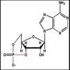 Draw A Noncyclic Amp Molecule After It Has Dissolved In Water Brainly 1All cell treatment final concentrations unless specified otherwise were as follows.