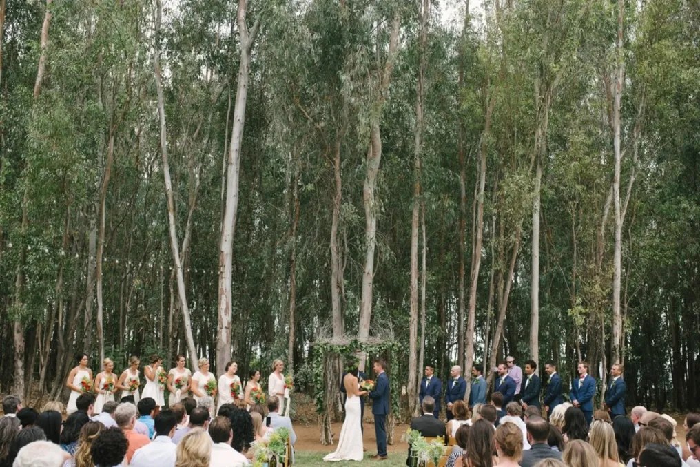 Starlight Grove Events #1