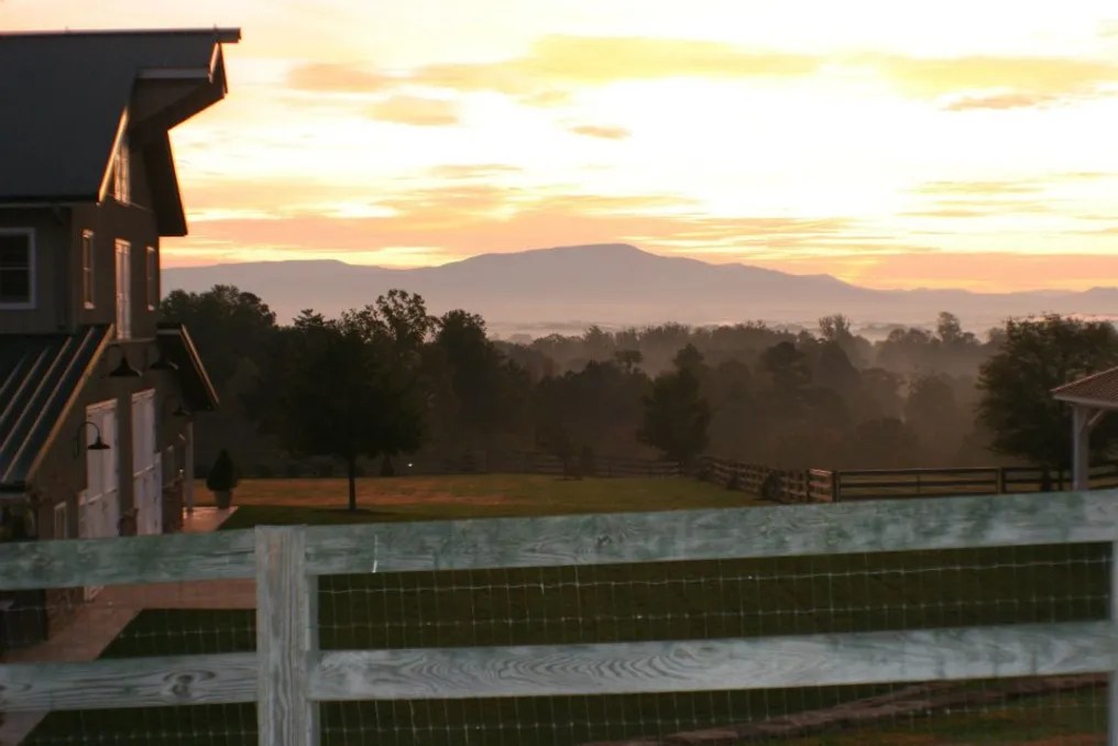 Walnut Hill Farm #20