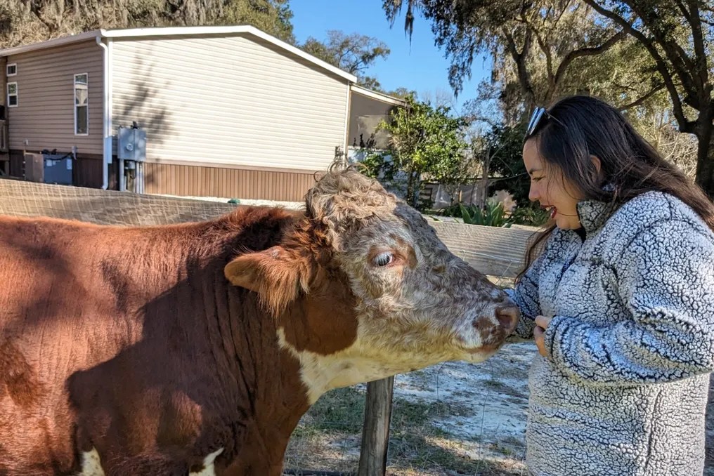 Rooterville Animal Sanctuary #12