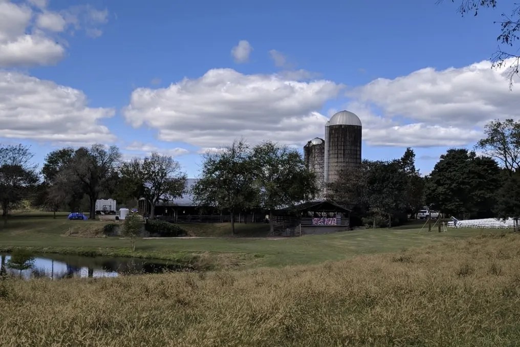 Clement Farm Weddings #10