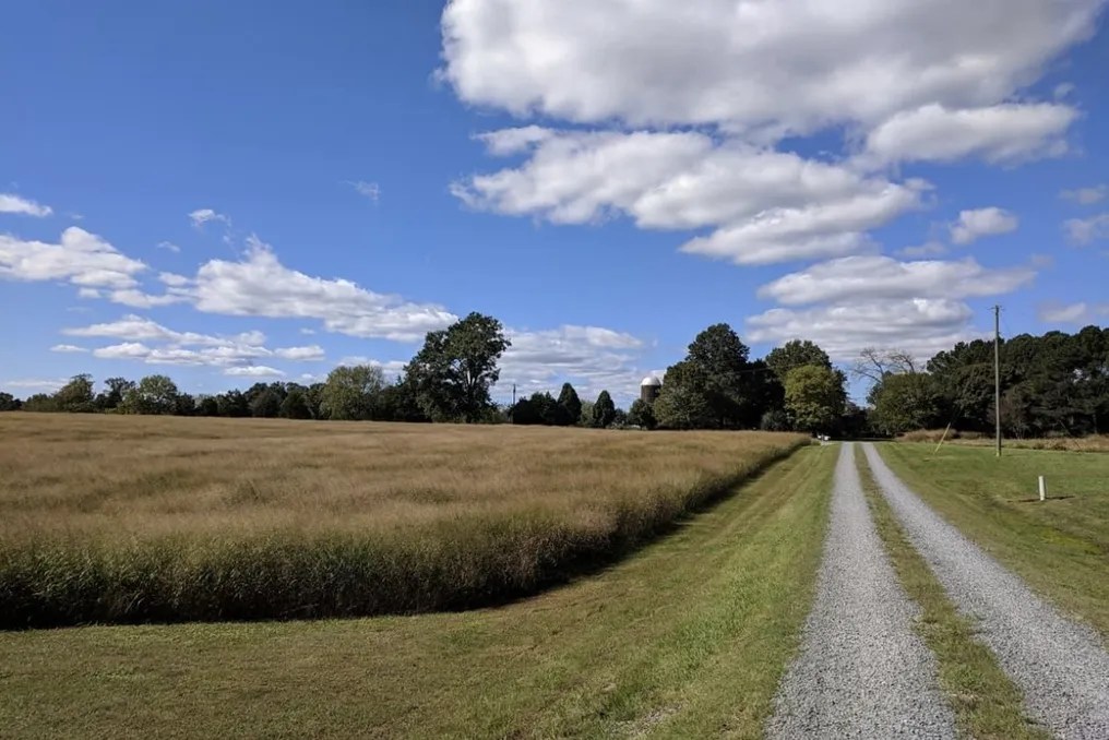 Clement Farm Weddings #12