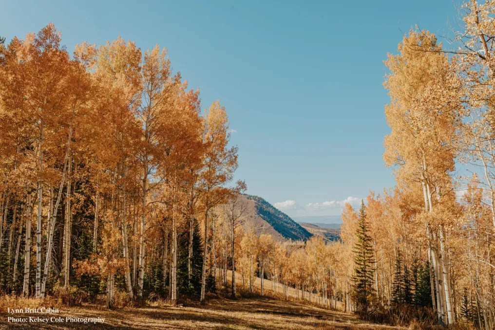 Aspen Snowmass Weddings #20