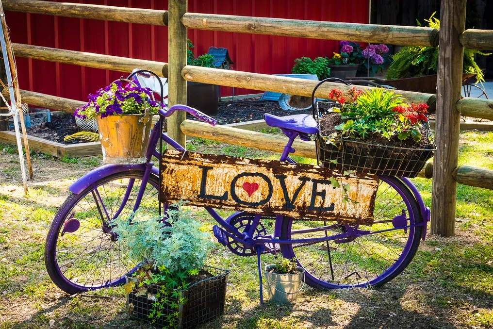 Rustic Barn Productions #7