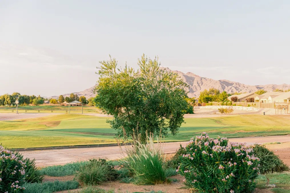 Stallion Mountain by Wedgewood Weddings #40
