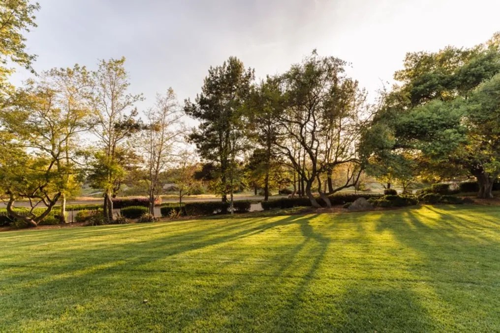 Brookridge Manor #12