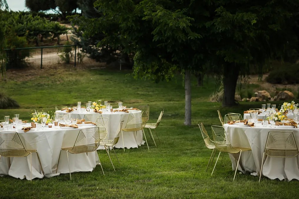 Bella Terra Vineyard Estate #21