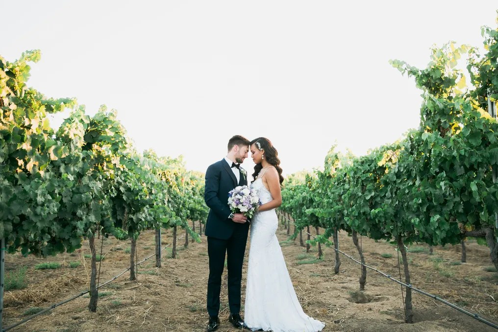 Mount Palomar Winery #14