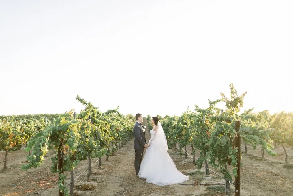 Mount Palomar Winery #18