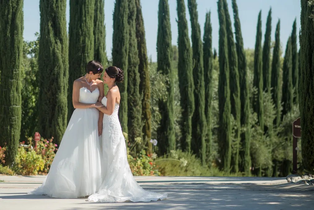Mount Palomar Winery #24